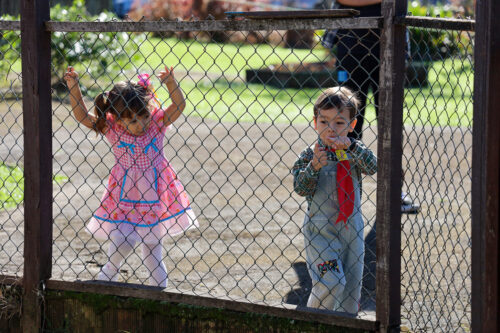 Arraiá Kindergarten 2025