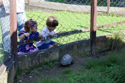 Arraiá Kindergarten 2026