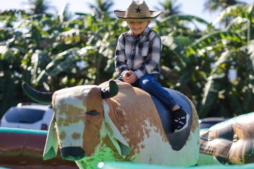 Arraiá Kindergarten 2026
