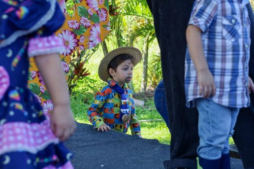 Arraiá Kindergarten 2026
