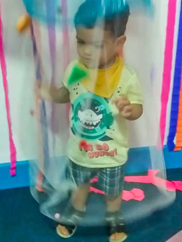 Festa das Cores