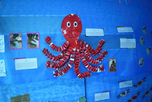 Se Eu Fosse Um Peixinho