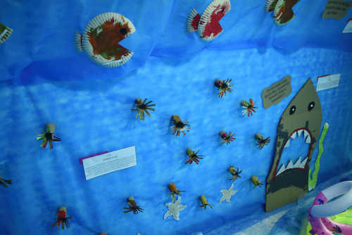 Se Eu Fosse Um Peixinho