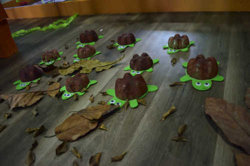 E o Mato Cresceu ao Redor