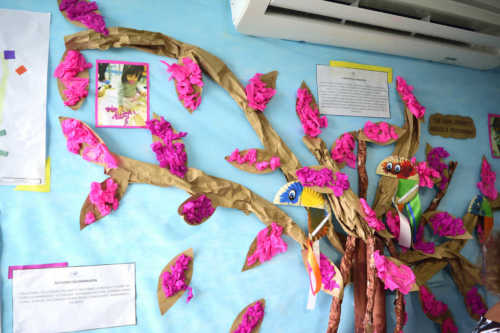 E o Mato Cresceu ao Redor