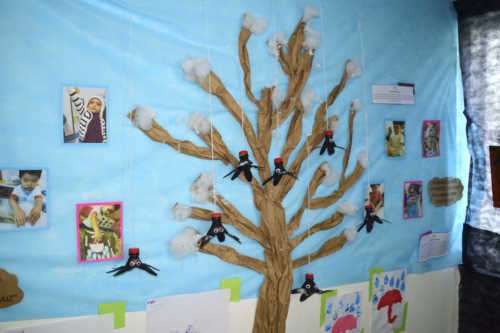 E o Mato Cresceu ao Redor