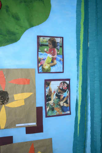 E o Mato Cresceu ao Redor