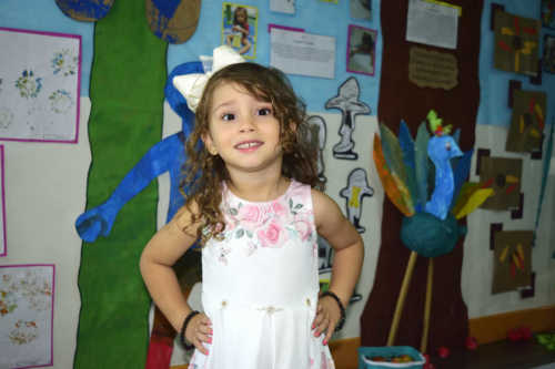 E o Mato Cresceu ao Redor