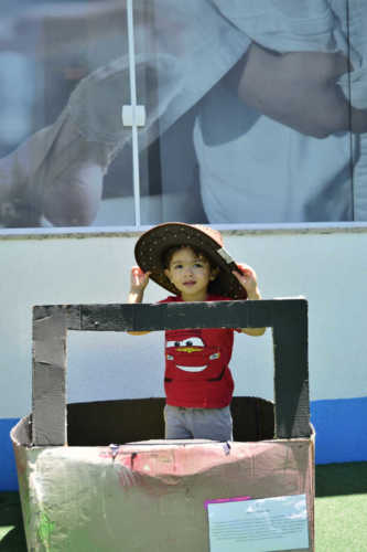 E o Mato Cresceu ao Redor