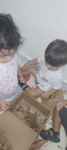 TBT Abril 2024