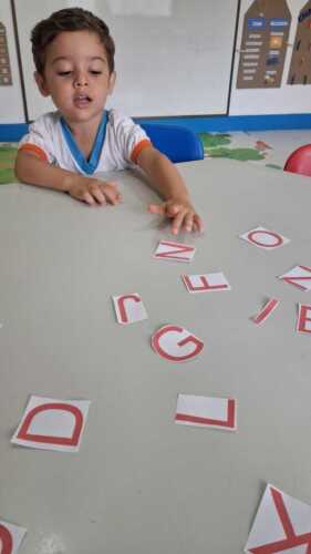 IMG-20250213-WA0242