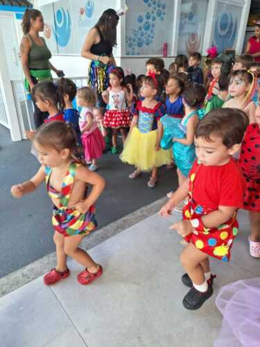 IMG-20250227-WA1115