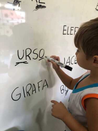 TBT Maio 2024