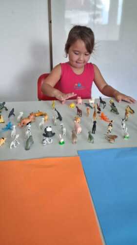 TBT Março 2025