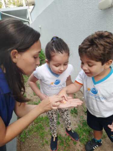 TBT Setembro 2024